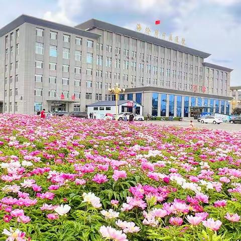 【大美海中医】海伦市中医医院邀您共赏芍药花海