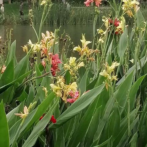 【文学佳作联展】赞宁宁的我文章合集