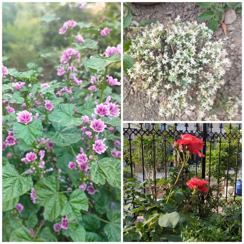 “花”间温柔 “环环”相扣