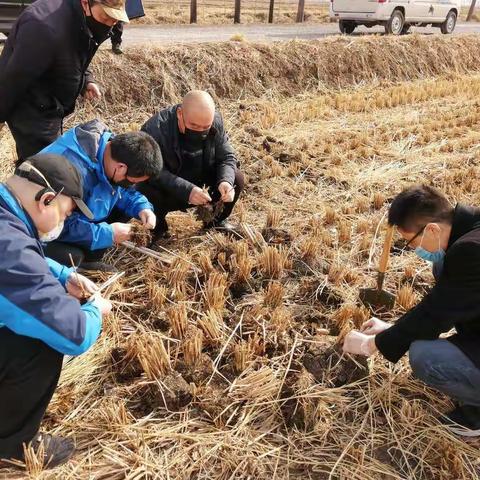 战疫情、保春耕，植保人在行动