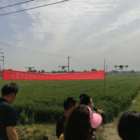 唐山市召开小麦中后期病虫害 “一喷三防”暨专业化统防统治现场观摩培训会