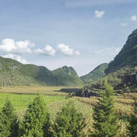 昆明，西双版纳之旅