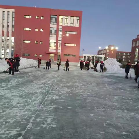 校园铲雪活动记录