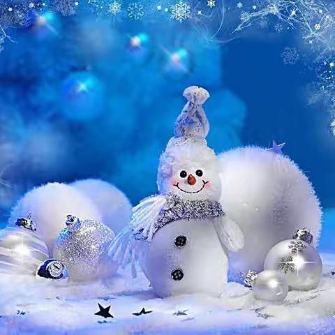 伶俐双语第二幼儿园中班之运动伴我成长