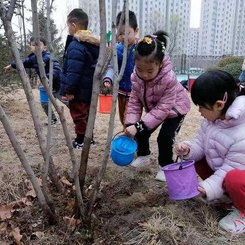 幼儿园“植树节”活动——春风十里不及一抹绿意