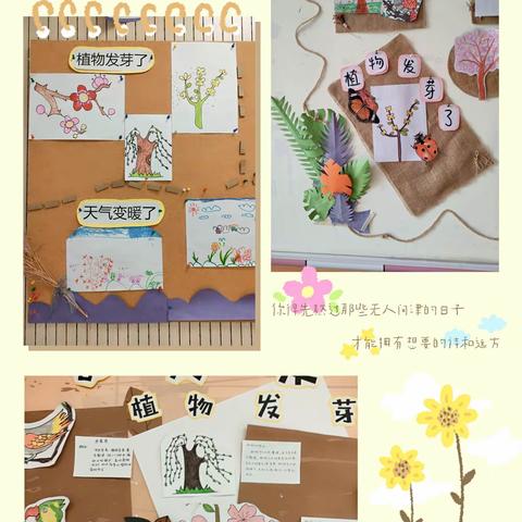 东城幼儿园中班级部次主题一植物发芽了