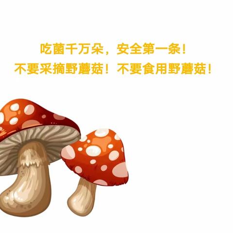 珍爱生命，远离毒蘑菇——新平县扬武镇晨晨幼儿园预防野生菌中毒主题教育活动