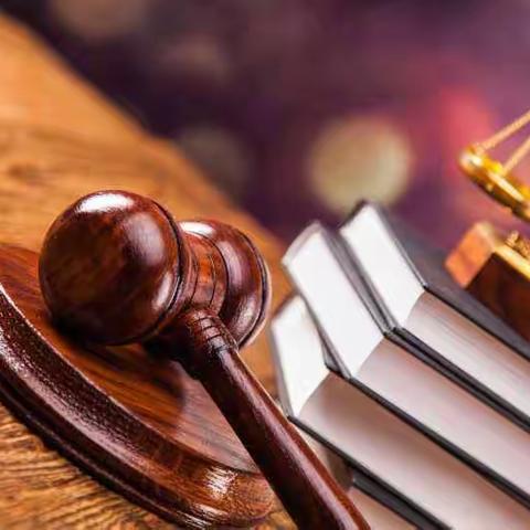 “用心呵护     检护明天”——张振武小学法律法规教育课