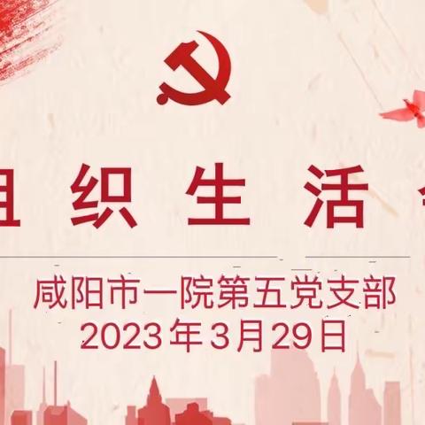 咸阳市第一人民医院第五党支部召开2022年度组织生活会