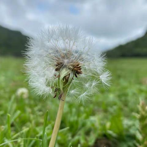 唤醒和陪伴，让转念自然而然的发生