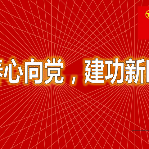 青春心向党，建功新时代暨流坡坞镇中学共青团团员活动