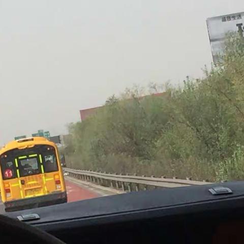 点金石艺星点a班春游🍃