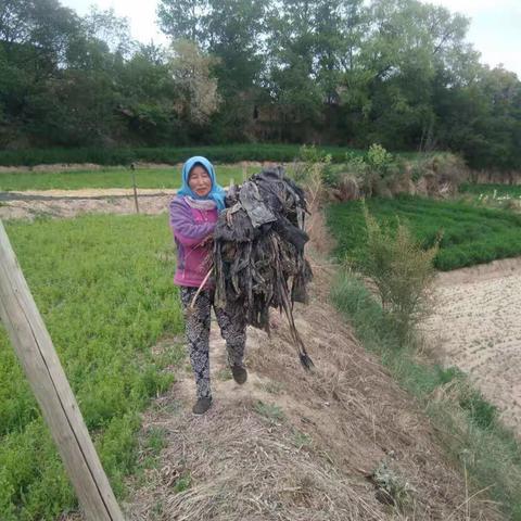 窑店镇人居环境整治工作动态