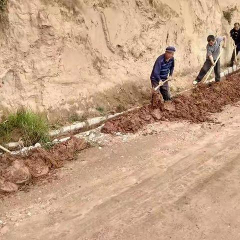 四好农村路，窑店在行动