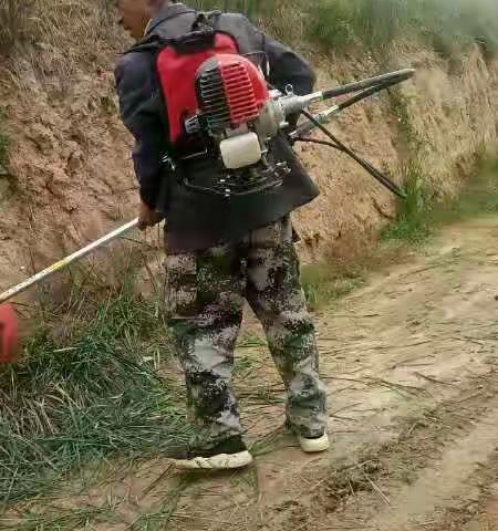 窑店镇农村人居环境整治工作动态