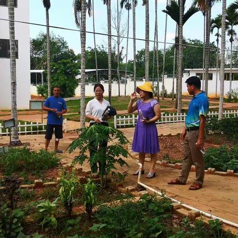 儋州市教育局高琼芳委员一行到八一中心校进行调研