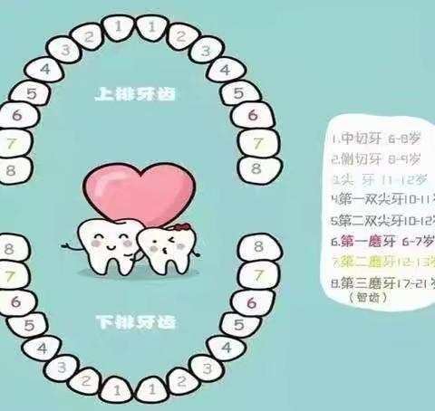 八湖镇中心幼儿园刘店子分园——我要换牙啦