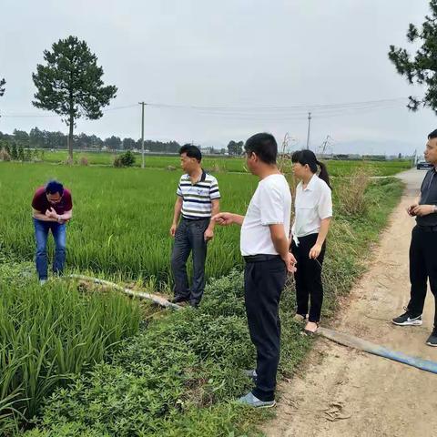 送技术送服务    农技推广暖人心