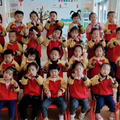 家园共携手、成长不延期——新星幼儿园小一班实践活动精彩瞬间