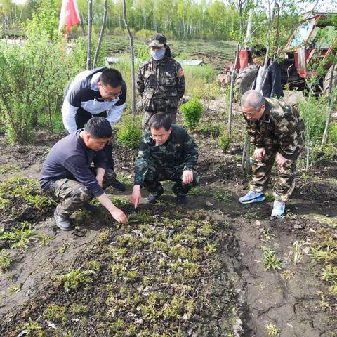 韩家园林业局党委书记王成军深入苗圃基地调研