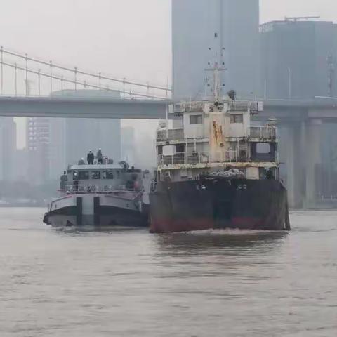 市交通运输局高效完成 “两江四岸”（江心岛至冠城大通码头段） 岸线码头船舶整治工作