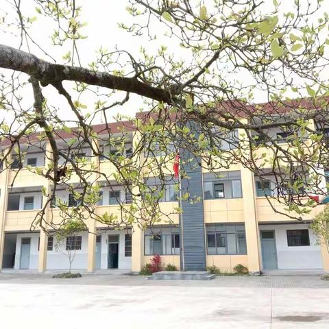 送教促成长，携手共进步——曹溪镇刘家小学