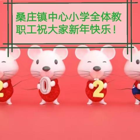 桑庄镇小寒假安全教育