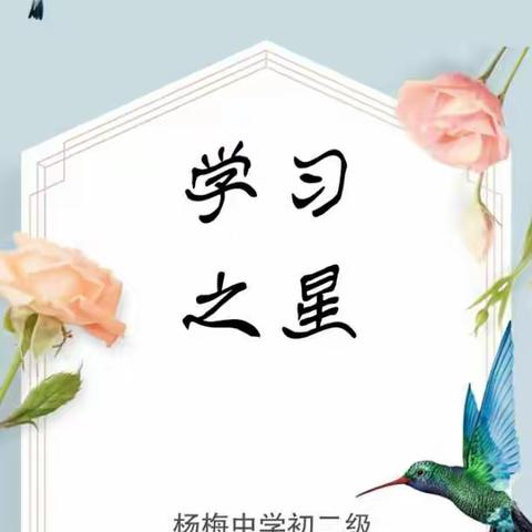 杨梅中学网上学习表彰