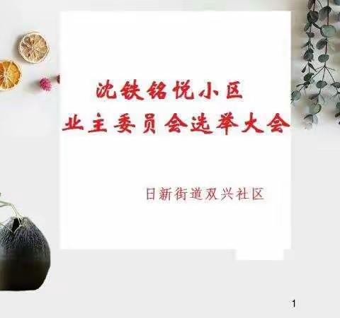 沈铁铭悦小区业主委员会                      选举大会