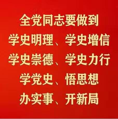 学党史守初心牢记使命锤党性