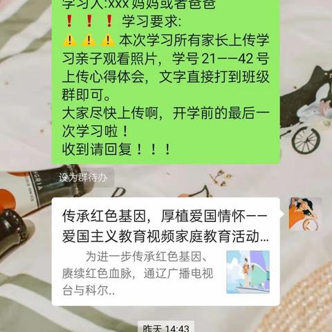 科区二幼中二班展播视频《少年梦》第三期学习活动