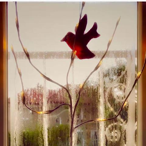 新冠天网恢恢没躲掉