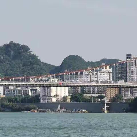 春日随拍：我的美篇《柳江景》