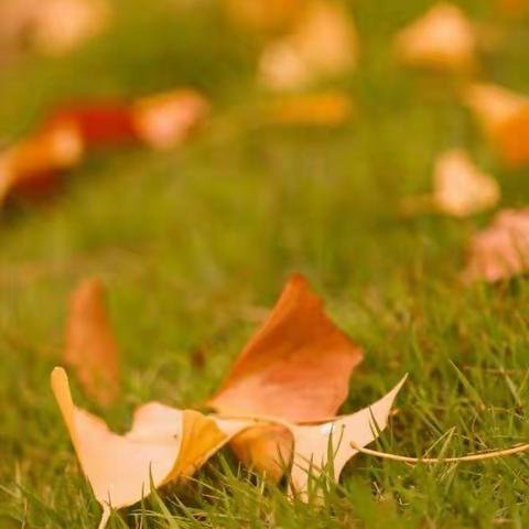 实验小学五年级举行“我读书、我快乐、我成长”演讲比赛