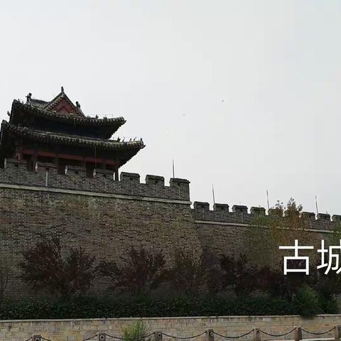 聊城