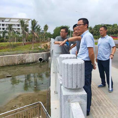 5月16日天涯区袁昭明副区长实地调研三亚湾新城(商业、教育地块)