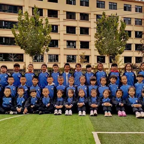 南山沃土育新苗    ----记录培育小凌霄花们的日常