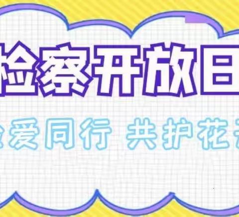 “检爱同行 共护花开”——平安三中少先队参加 检察开放日活动