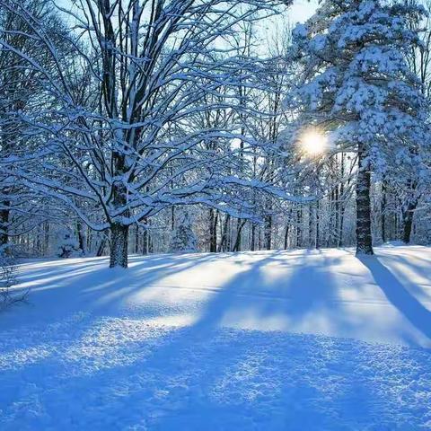 冬日萧萧 温暖送教 引领成长 ——天元区牵手茶陵县教师交流活动