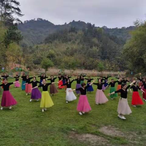 女人如花  愈开愈艳—记百盈舞蹈队到亚龙塘生态园开展户外活动