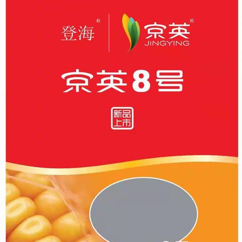 京英8号作为粮饲兼用型玉米的主要优势