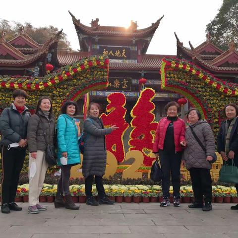 梅花飘香迎新年