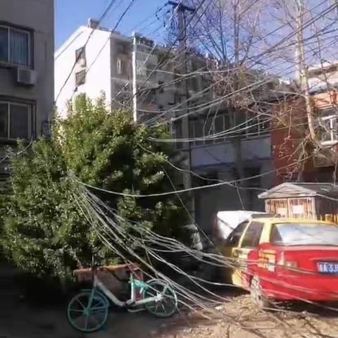 一场大风肆虐过，紧急抢修复平静