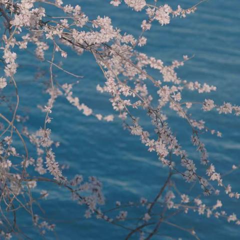 快乐假期，“宅”出新花样—中山路小学附设幼儿园大三班