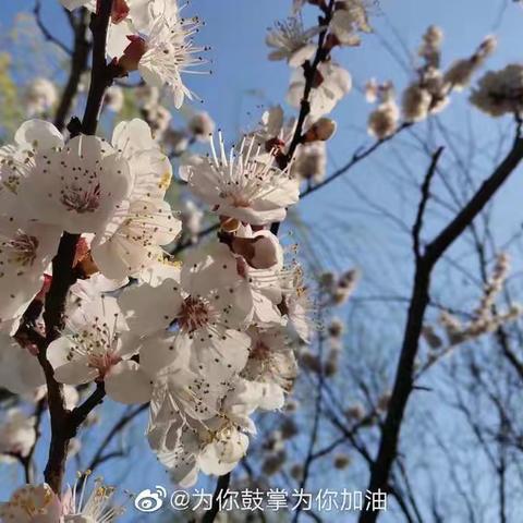 快乐假期，玩出新花样—中山路小学附设幼儿园大三班