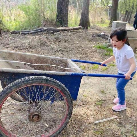 体验：谁知盘中餐粒粒皆辛苦