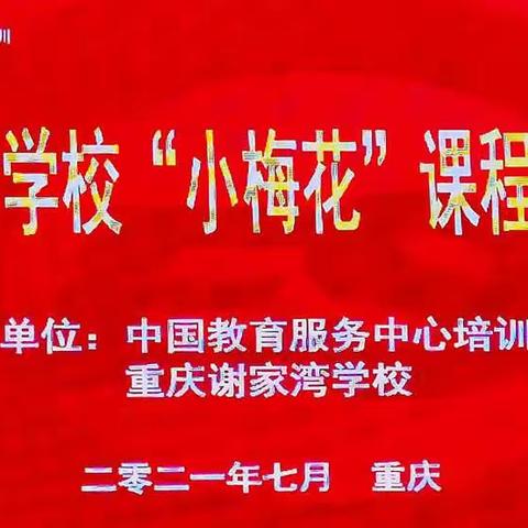 【朵朵花开淡墨痕】–––重庆谢家湾学校“小梅花”课程学习体会