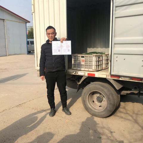 宝丰县第一张食用农产品合格证在康龙众口农业科技发展有限公司开出
