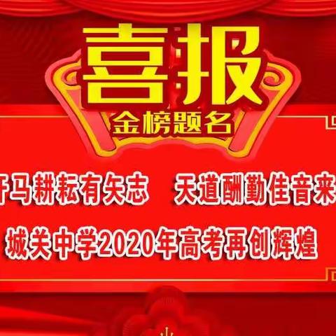 肥东县城关中学2020年高考再创辉煌