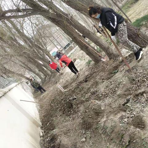 马场寄宿制小学 教师们的一天